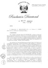 Vista preliminar de documento RD-2020-00275-999