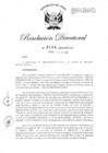 Vista preliminar de documento RD-2020-00290-999