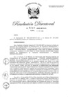 Vista preliminar de documento RD-2020-00295-999