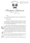 Vista preliminar de documento RD-2020-00313-999