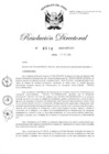 Vista preliminar de documento RD-2020-00316-999