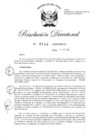 Vista preliminar de documento RD-2020-00345-999