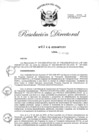 Vista preliminar de documento RD-2020-00344-999