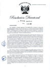 Vista preliminar de documento RD-2020-00408-999