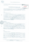 Vista preliminar de documento FE ERRATAS 020-2020-SG-MPB