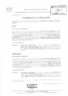 Vista preliminar de documento fe_erratas_17_2020
