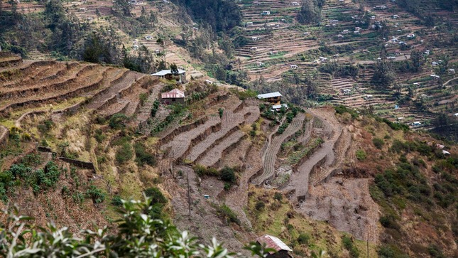 Ministerio de Cultura declara Paisaje Cultural a “Cuyocuyo”, reconociéndolo como bien integrante del Patrimonio Cultural de la Nación