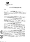 Vista preliminar de documento RA992020