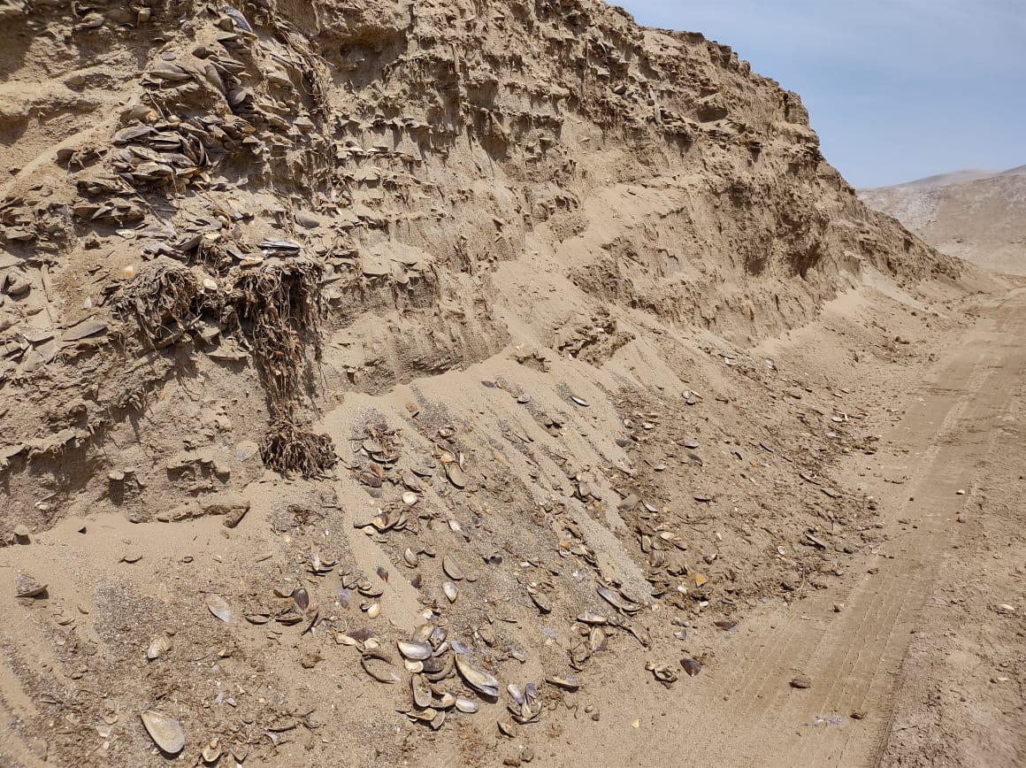 Ministerio de Cultura interviene en afectación de sitio arqueológico Carhuaz en Paracas