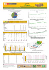 Vista preliminar de documento Boletín de volumen y precio de papa 27/01/21