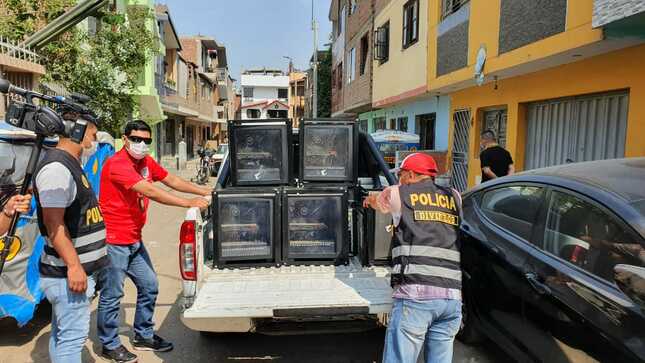 Policía desarticula banda que robaba cabinas de internet en Santa Anita