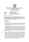Vista preliminar de documento Resolución Nº 010303162019