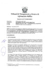 Vista preliminar de documento Resolución Nº 010303332019