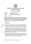 Vista preliminar de documento Resolución Nº 010303322019