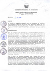 Vista preliminar de documento RER_541_2016.pdf
