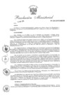 Vista preliminar de documento 2015
