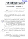 Vista preliminar de documento RES. 109-2014-SUNARP-ZRN°IV-JEF