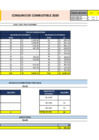 Vista preliminar de documento Consumo total de Gasolina - Diciembre 2020