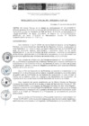 Vista preliminar de documento RES. 081-2019-SUNARP-ZRN°VI-JEF