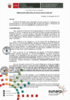 Vista preliminar de documento RES. 133-2017-SUNARP-ZRN°VI-JEF