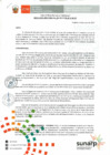 Vista preliminar de documento RES. 013-2017-SUNARP-ZRN°VI-JEF