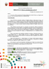 Vista preliminar de documento RES. 239-2016-SUNARP-ZRN°VI-JEF