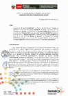 Vista preliminar de documento RES. 008-2015-SUNARP-ZRN°VI-JEF