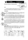 Vista preliminar de documento RES. 061-2012-SUNARP-ZRN°VI-JEF