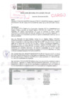 Vista preliminar de documento RES. 011-2019-SUNARP-ZRN°XIV-JEF