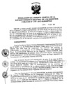 Vista preliminar de documento RES. 206-2013-SUNARP-GG