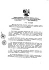 Vista preliminar de documento RES. 272-2012-SUNARP-GG