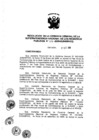 Vista preliminar de documento RES. 170-2009-SUNARP-GG