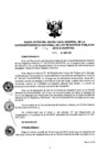Vista preliminar de documento RES. 114-2018-SUNARP-SG