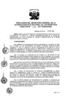 Vista preliminar de documento RES. 315-2017-SUNARP-SG