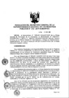 Vista preliminar de documento RES. 293-2017-SUNARP-SG
