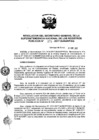Vista preliminar de documento RES. 273-2017-SUNARP-SG
