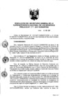 Vista preliminar de documento RES. 271-2017-SUNARP-SG