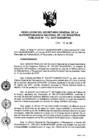 Vista preliminar de documento RES. 176-2017-SUNARP-SG