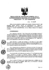 Vista preliminar de documento RES. 175-2017-SUNARP-SG