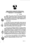 Vista preliminar de documento RES. 147-2017-SUNARP-SG