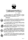 Vista preliminar de documento RES. 141-2017-SUNARP-SG