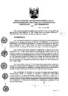 Vista preliminar de documento RES. 131-2017-SUNARP-SG