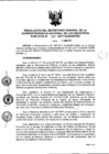 Vista preliminar de documento RES. 107-2017-SUNARP-SG
