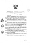 Vista preliminar de documento RES. 099-2017-SUNARP-SG