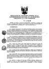 Vista preliminar de documento RES. 033-2017-SUNARP-SG