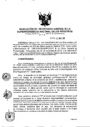 Vista preliminar de documento RES. 272-2016-SUNARP-SG