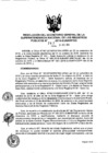 Vista preliminar de documento RES. 262-2016-SUNARP-SG