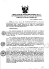 Vista preliminar de documento RES. 055-2016-SUNARP-SG