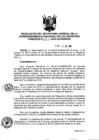 Vista preliminar de documento RES. 232-2015-SUNARP-SG
