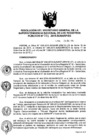 Vista preliminar de documento RES. 305-2015-SUNARP-SG